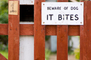 Dog Bite Claims for Homeowners Are on the Rise