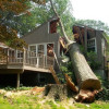 Tree Fallen on House