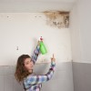Is mold covered under your home insurance policy?