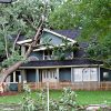 tree-falls-on-house