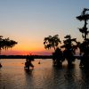 Kayaking,At,Sunset,On,Lake,Martin,,Breaux,Bridge,,Louisiana.