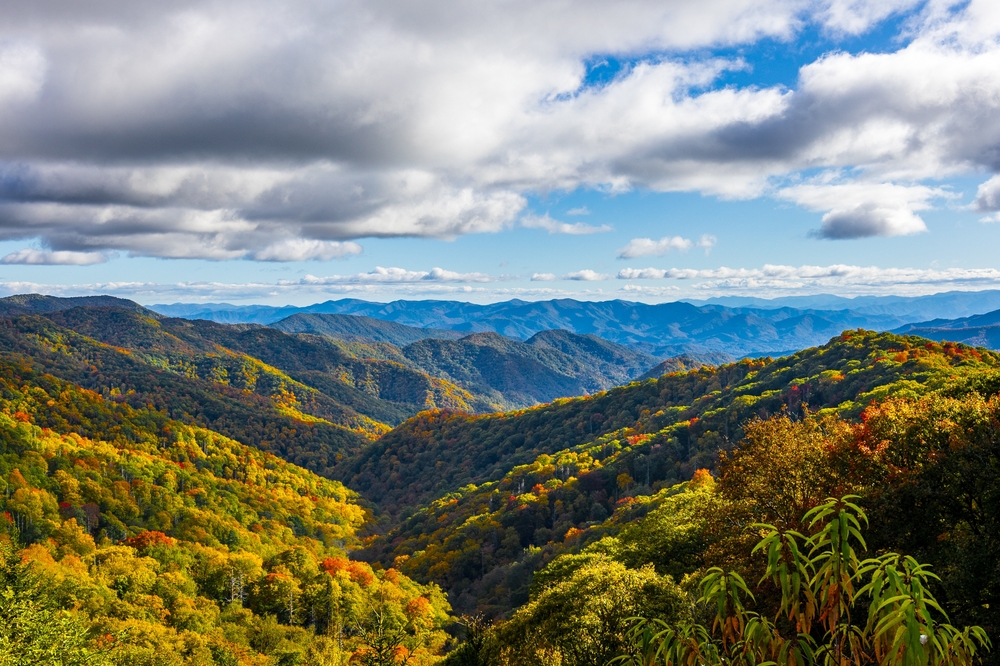 What causes North Carolina home insurance to go up?