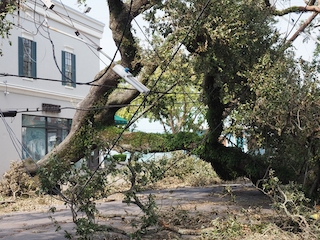 Picture of New Orleans, LA