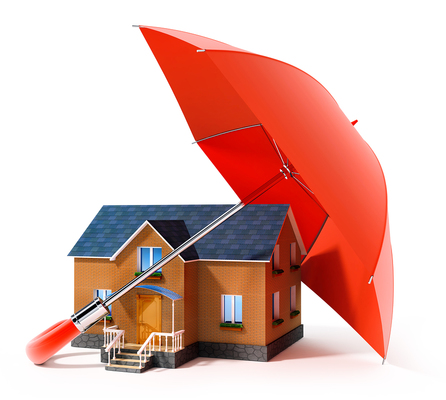 How is a home insurance plan different from a home warranty?