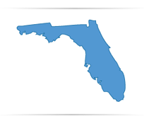 La Crosse, FL State Map Outline
